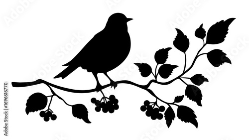 silhouette of a bird
