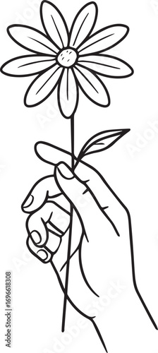 Hand Holding Daisy: A delicate hand tenderly holds a freshly picked daisy, its pristine petals a symbol of spring and new beginnings.
