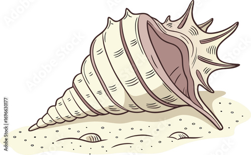 Elegant Sea Shell Design Illustration. Detailed Sea Shell Nature Inspired Artwork. Sea Shell Creative Illustration for Beach Theme. Realistic Sea Shell Illustration Artwork. Sea Shell Decorative