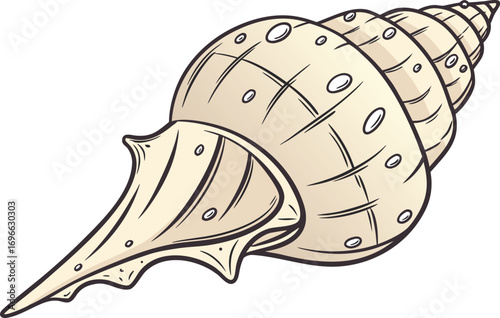 Elegant Sea Shell Design Illustration. Detailed Sea Shell Nature Inspired Artwork. Sea Shell Creative Illustration for Beach Theme. Realistic Sea Shell Illustration Artwork. Sea Shell Decorative