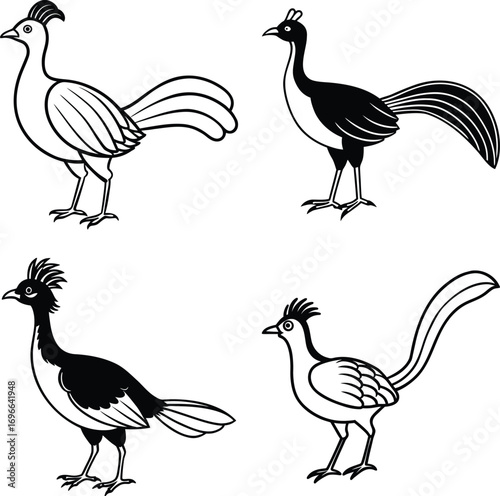 Set of hand drawn birds ,Tropical Birds ,Democratic Republic of the Congo and Birds
Colorful collection of abstract birds


