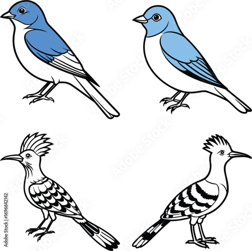 Set of hand drawn birds ,Tropical Birds ,Democratic Republic of the Congo and Birds
Colorful collection of abstract birds


