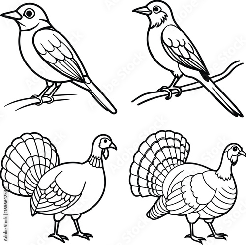 Set of hand drawn birds ,Tropical Birds ,Democratic Republic of the Congo and Birds
Colorful collection of abstract birds


