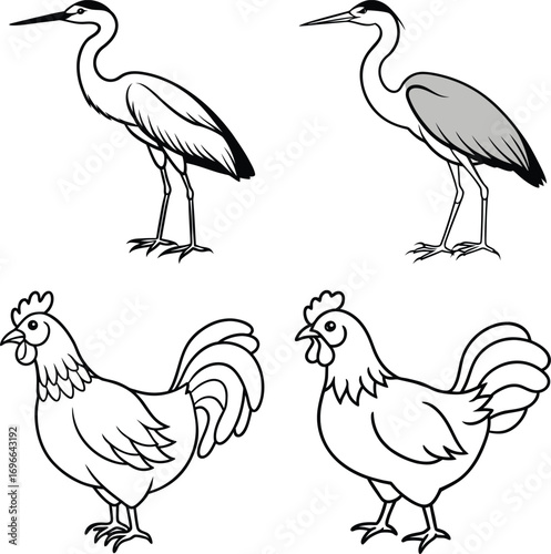 Set of hand drawn birds ,Tropical Birds ,Democratic Republic of the Congo and Birds
Colorful collection of abstract birds


