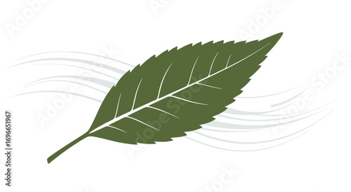 A detailed guide to growing and caring for your garden's beautiful green leaves