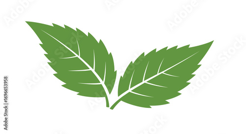 Healthy green leaves symbolizing nature wellness growth organic life renewal vitality freshness