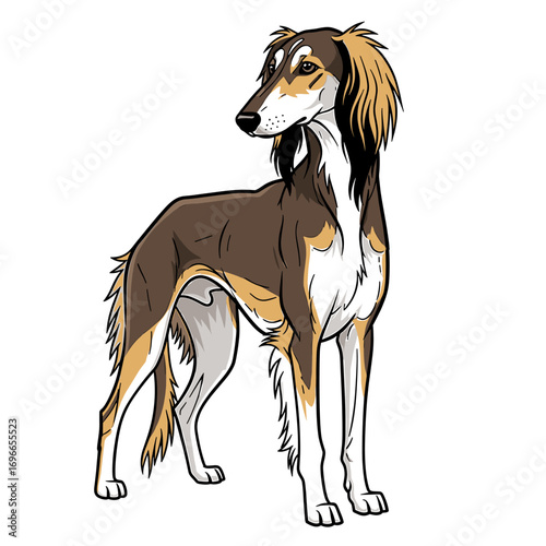 Detailed illustration of a majestic Saluki dog with brown, white, and tan fur, standing gracefully in a stylized art style.