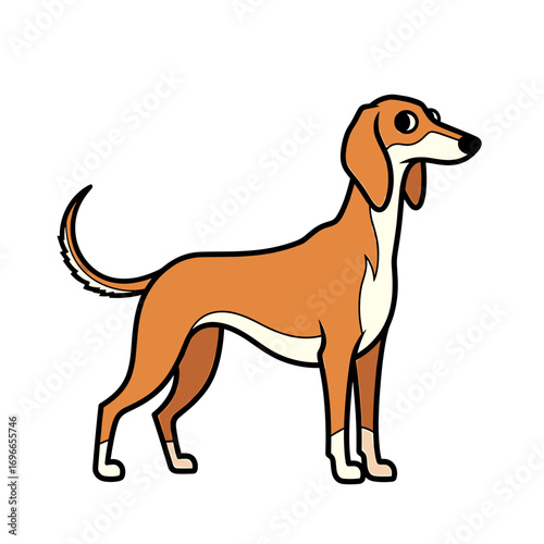 A cartoon illustration of a slender, tan-colored sighthound dog with long ears and a curled tail, standing alertly on a white background.