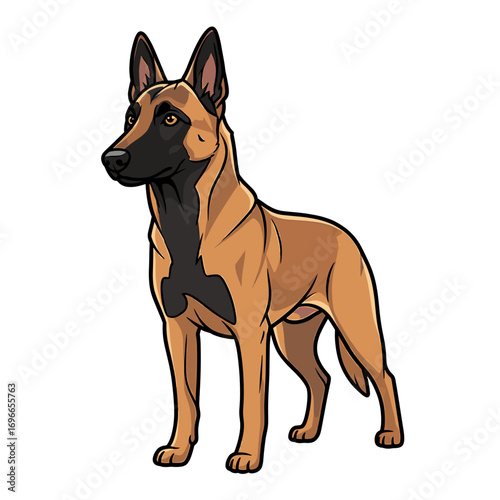 A stylized cartoon illustration of a Belgian Malinois dog standing alert and proud against a white background.