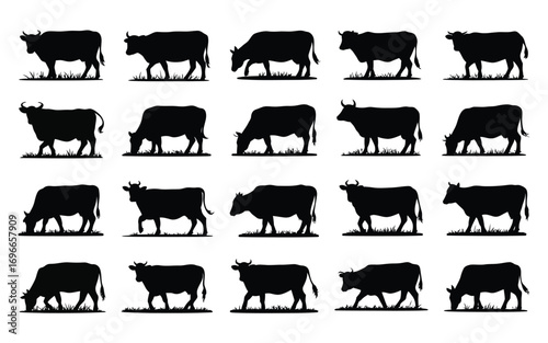 Vector art of a collection of cow silhouettes, showcasing various breeds and poses, perfect for agricultural, farm, and livestockrelated design projects