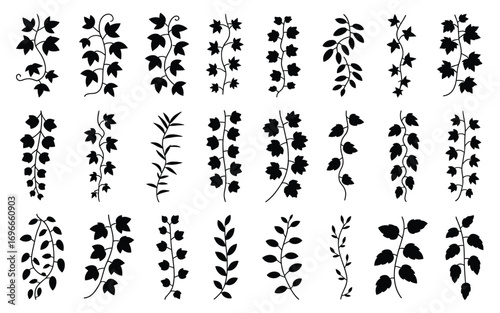 Vector art of set of 24 silhouette vines, perfect for adding a touch of nature to your designs, invitations, or any creative project with botanical elements
