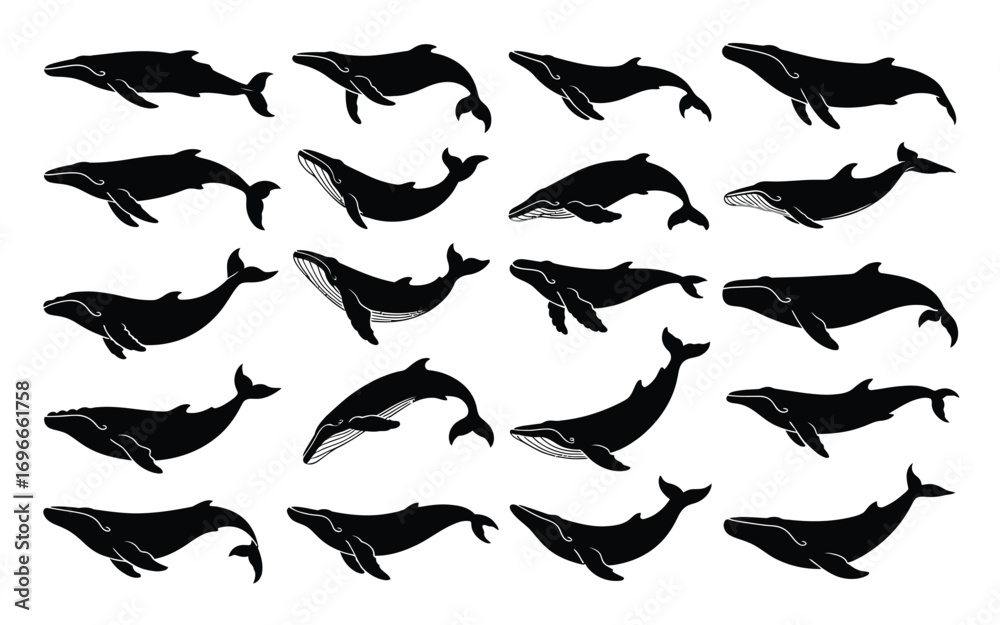 Fototapeta premium Vector art of a captivating collection of whale silhouettes, showcasing the majestic marine mammals graceful form and powerful presence, perfect for adding a touch of ocean life