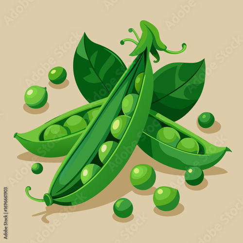 green peas vector illustration