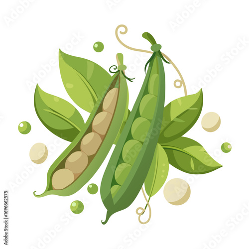 fresh green peas
