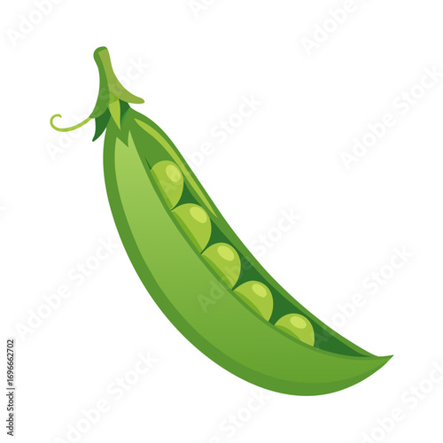 fresh green peas