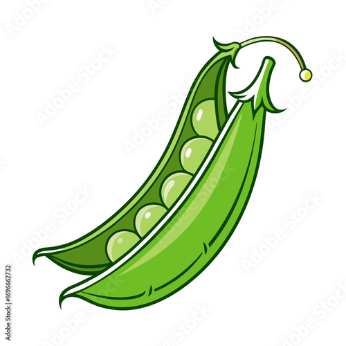 green peas vector illustration