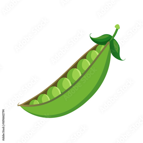 fresh green peas