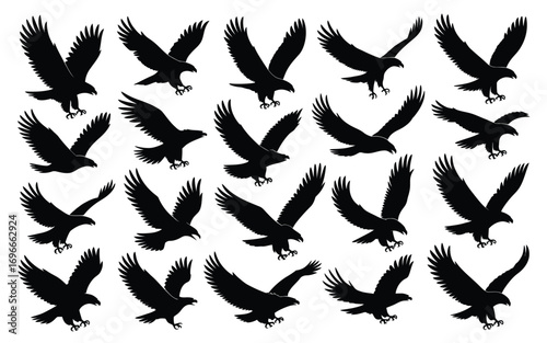 Vector art of dynamic eagle silhouettes in various flying poses, capturing the majestic movement and power of these birds for diverse creative applications