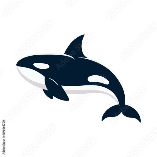 orca whale illustration design