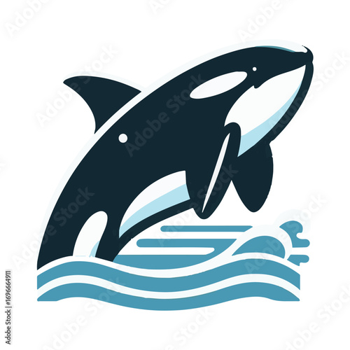 orca whale illustration design