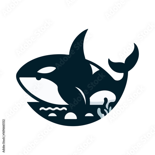 orca whale illustration design
