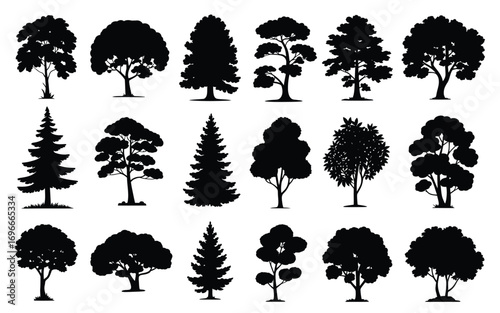 Vector art of silhouette tree collection set of different tree silhouettes vector illustration of various trees black tree silhouettes on