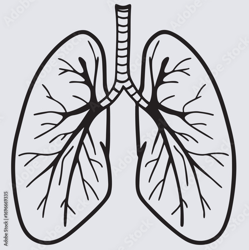 design a precise icon of human lungs silhouette vector art illustration, Lungs. Icon for design. Easily editable