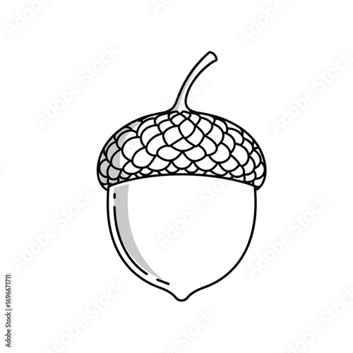 Simple black and white illustration of an acorn with a textured cap and a smooth body ready to grow into a mighty oak tree
