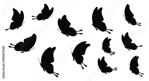 a group of black butterflies flying in various directions
