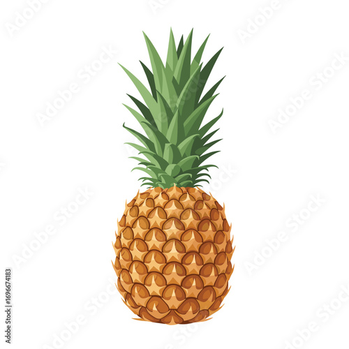 A ripe sweet tropical pineapple fruit with green leaves detailed vector illustration
