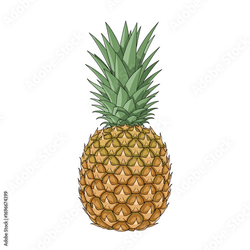 Delicious tropical pineapple fruit healthy sweet summer exotic food