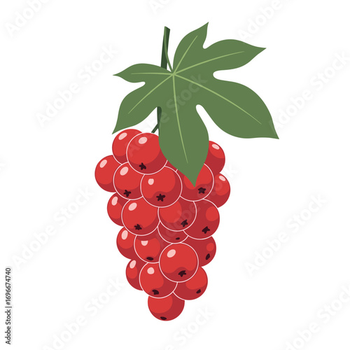Vibrant bunch of ripe red currants hanging from a stem with a single green leaf isolated on white