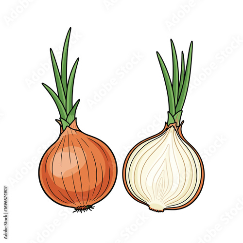 A whole yellow onion alongside a sliced onion showing its layers and growing green sprouts on a white background