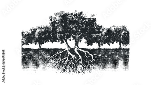 Old oak tree with exposed roots and foliage on transparent. Vector hand drawn illustration