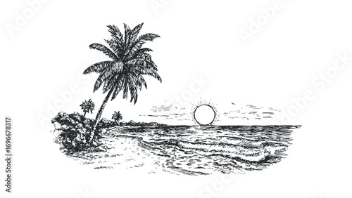 Tropical coast with palm trees and ocean waves at sunset. Vector hand drawn illustration