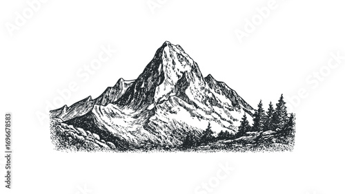 Hand Drawn Mountain Peak with Evergreen Forest. Vector hand drawn illustration