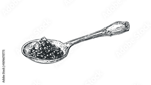 Engraved spoon holding caviar and a cube of sugar. Vector hand drawn illustration
