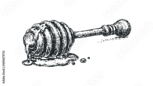 Engraved Honey Dipper with Dripping Honey on Transparent Background. Vector hand drawn illustration