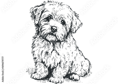Sketch of a Fluffy Puppy Sitting on a Transparent Background. Vector hand drawn illustration