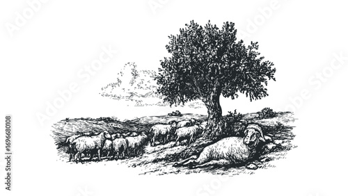 Herd of sheep resting under a leafy tree on a grassy hill with clouds. Vector hand drawn illustration