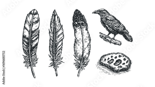 Detailed sketch of bird feathers and raven on a branch on a white surface. Vector hand drawn illustration