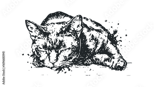 Sketchy Black Cat Portrait Splashing Ink on Transparent. Vector hand drawn illustration