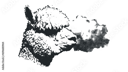 Alpaca portrait sketch with fuzzy texture. Vector hand drawn illustration