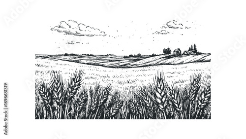Sketch of a field of wheat stalks and rolling hills with farmhouses. Vector hand drawn illustration