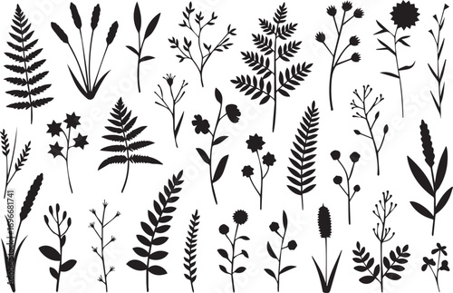 botanical silhouette vector set of flowers leaves and ferns with ornamental design for floral illustration