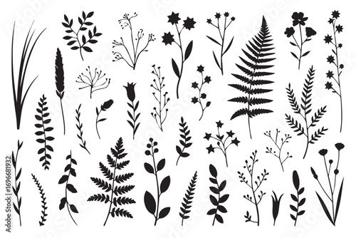 black botanical silhouettes of flowers leaves grasses and ferns vector illustration pack for design