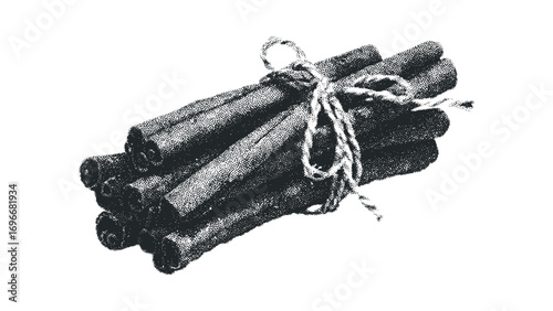 Bunch of cinnamon sticks tied with twine on transparent background. Vector hand drawn illustration