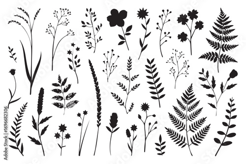 nature silhouette vector pack with diverse botanical elements floral leaves branches grasses and ferns