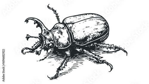 Black and white detailed engraving of a rhinoceros beetle. Vector hand drawn illustration
