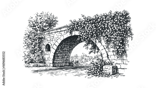Archway overgrown with foliage on a transparent background. Vector hand drawn illustration